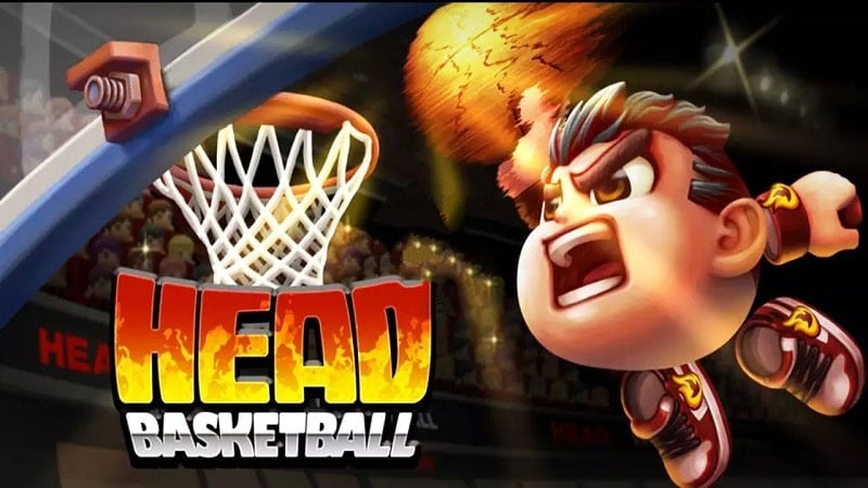 Head Basketball