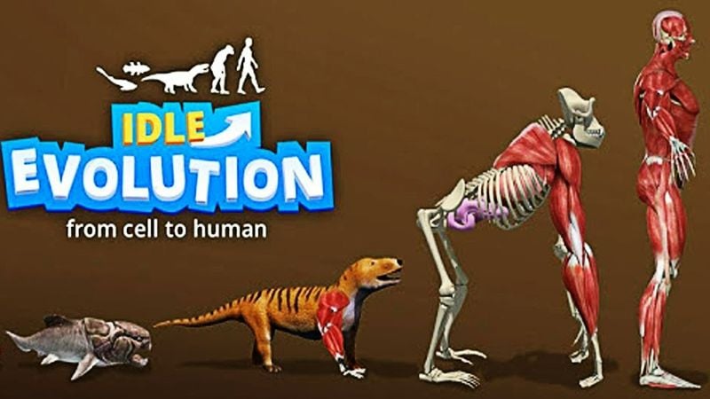 Idle Evolution