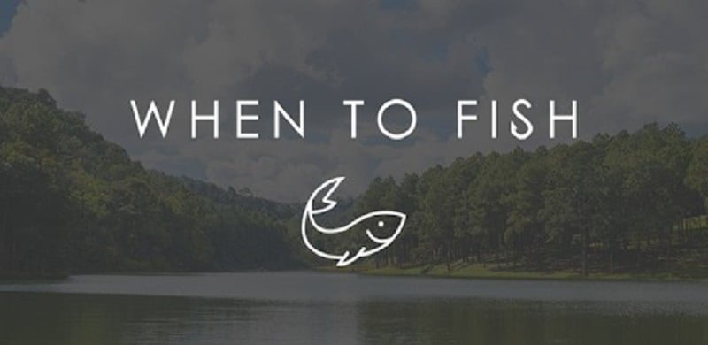 When to Fish